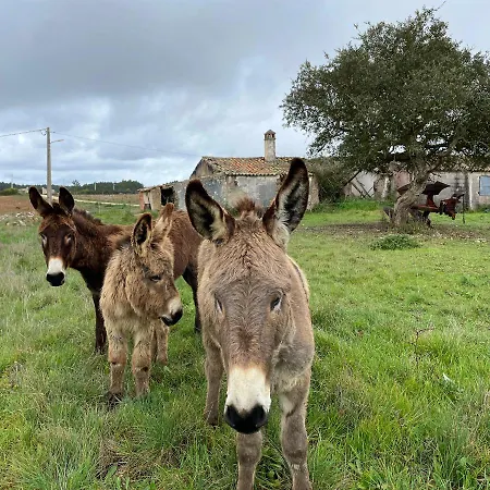 Monte Joao Roupeiro -