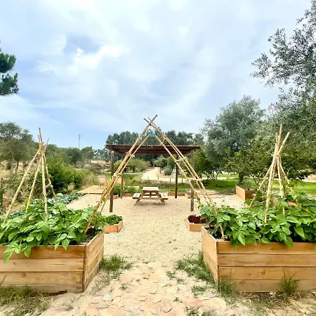 Monte Joao Roupeiro - * Odeceixe