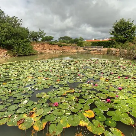 Monte Joao Roupeiro - Odeceixe