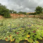 Monte Joao Roupeiro - Odeceixe